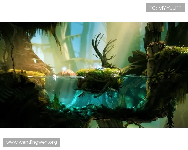 问鼎网址登录线路故障排查与优化方案保障顺畅游戏体验